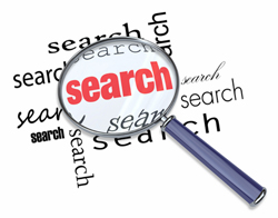 Site Search